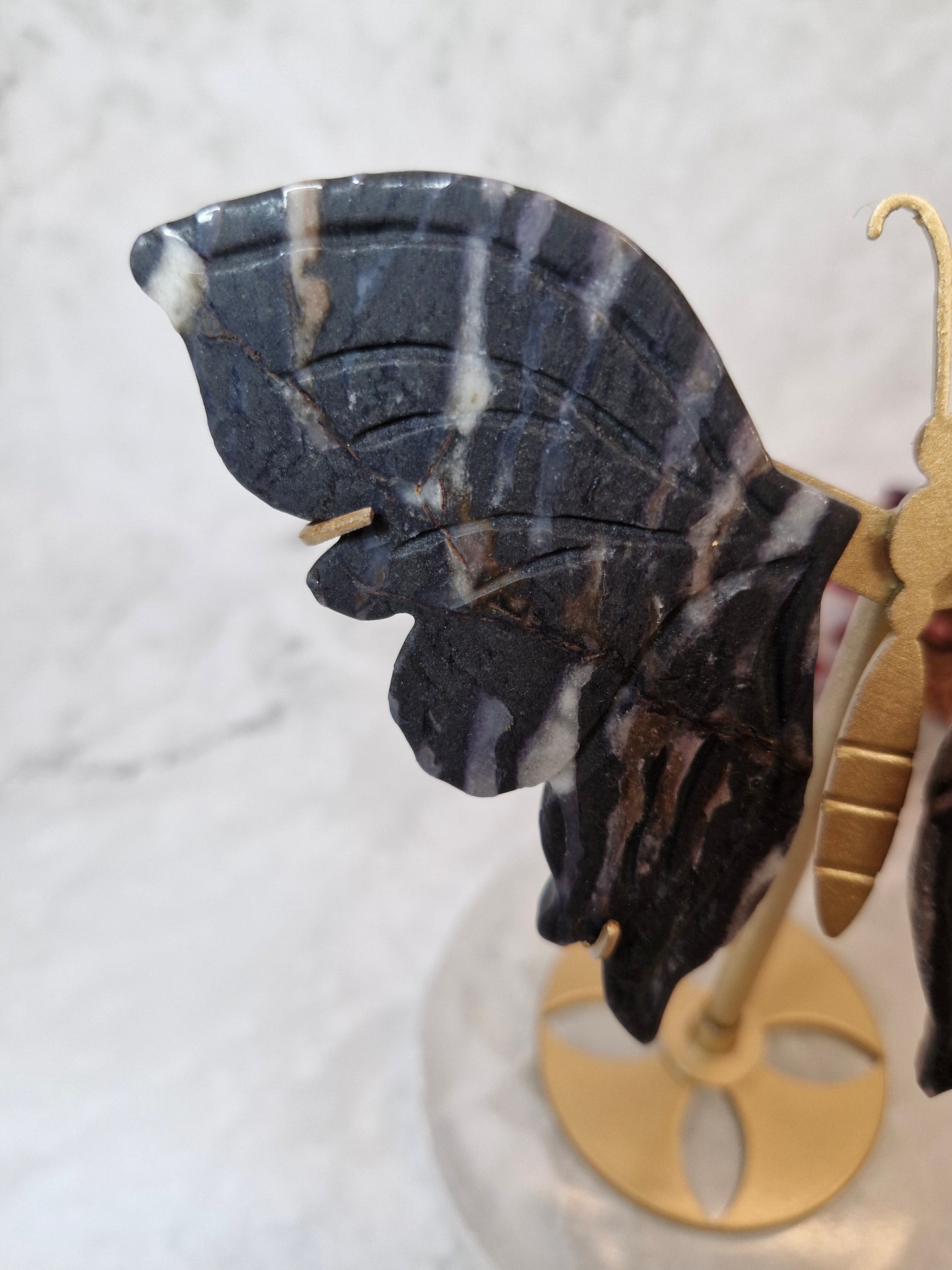 Zebra Calcite Butterfly Wings on a Gold Silhouette Stand