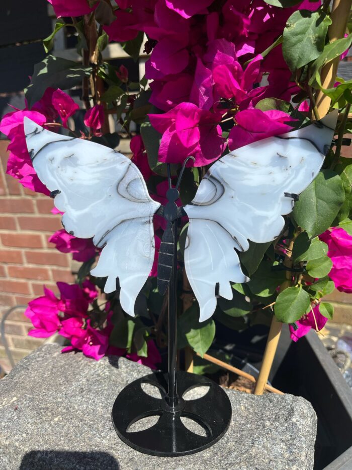 Black and White Jade Butterfly Wings on Stand