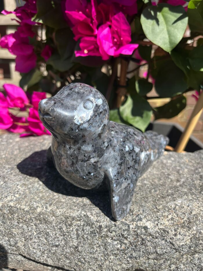 Lavakite Seal Carving