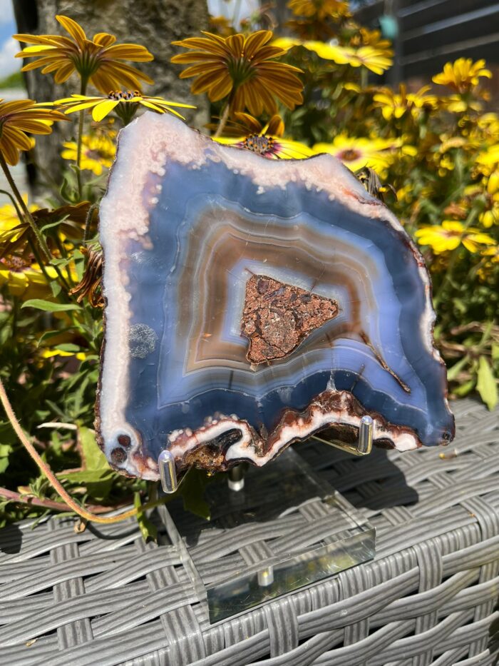 Blue Flower Agate Slab