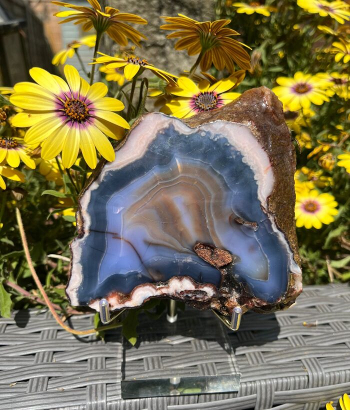 Blue Flower Agate Slab - Image 3
