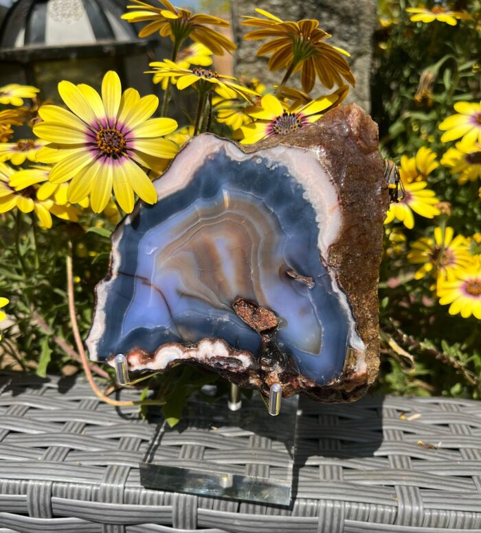 Blue Flower Agate Slab - Image 6
