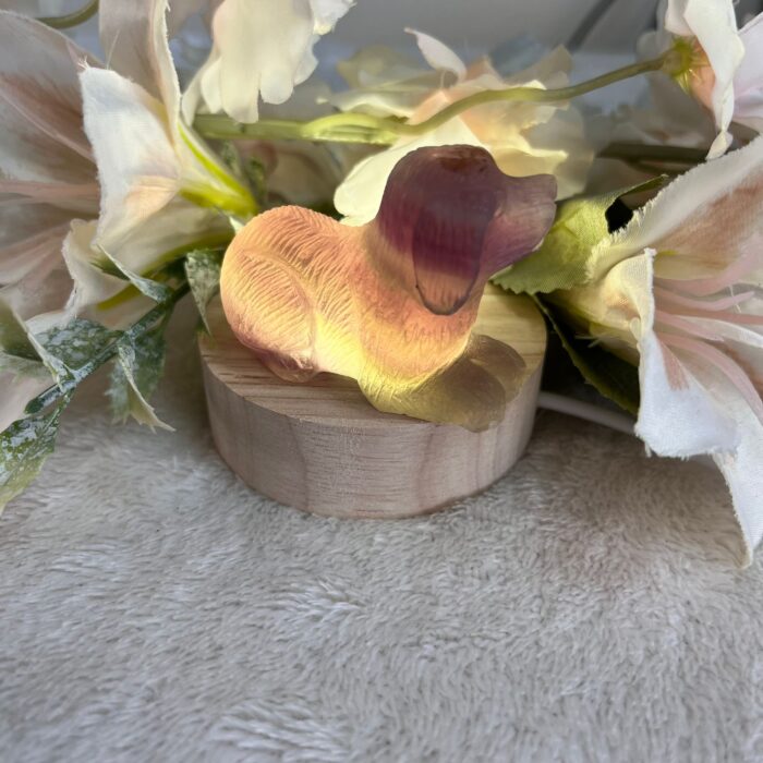 Flourite Dog Carving - Image 3