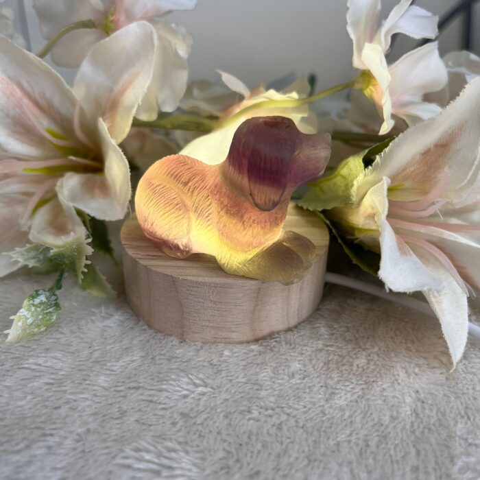 Flourite Dog Carving - Image 4