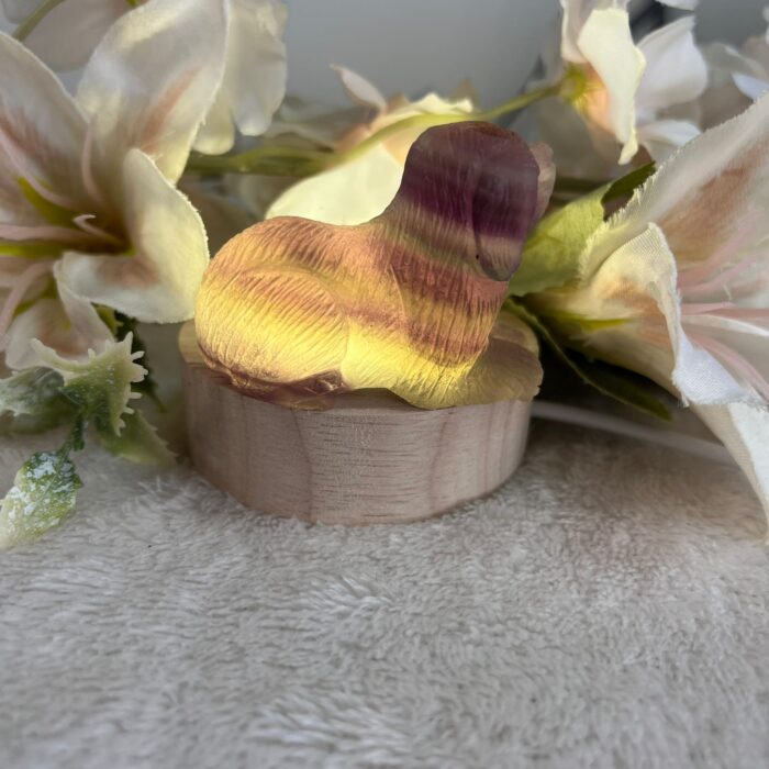 Flourite Dog Carving - Image 7