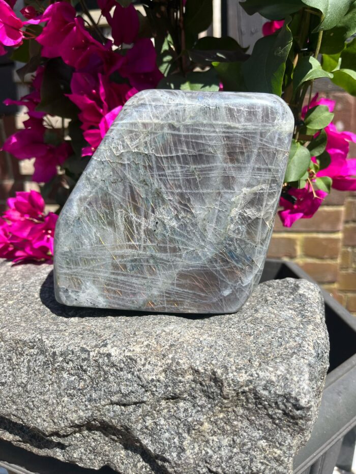 Large Light Labradorite Freeform Rainbow of Colours - Image 4